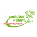 Comptoir du Plant